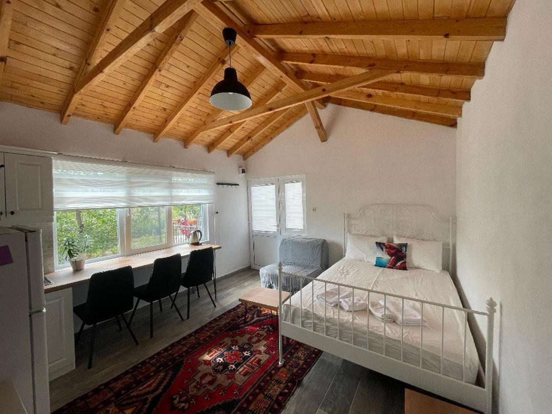 Cozy In Villa *
